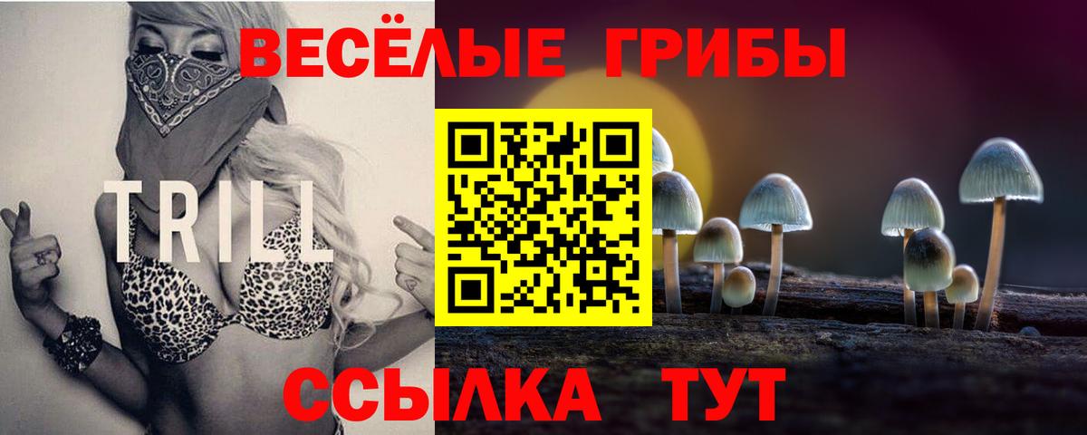 Прохладный  Галлюциногенные грибы ЛСД  Вход с VPN 