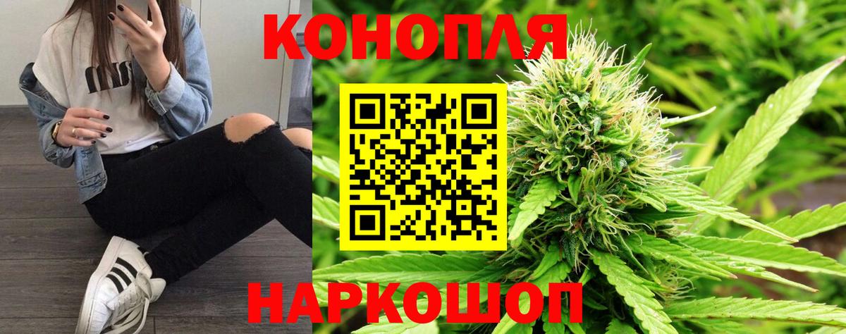 Прохладный  Каннабис конопля  Вход с VPN  Бошки марихуана конопля  Канабис Ganja 
