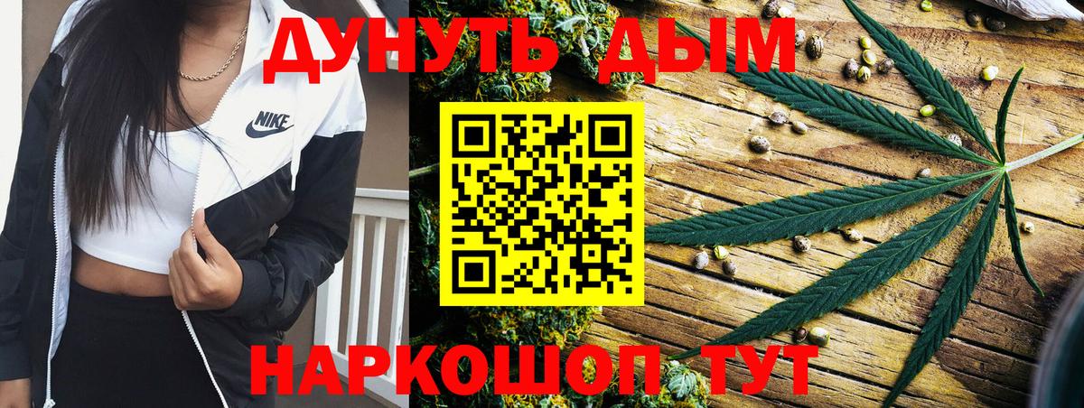 Бошки марихуана конопля Прохладный